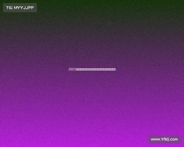 2002年世界杯加纳队回顾非洲黑星初登世界舞台激情与成长之路 2002年世界杯加纳队回顾非洲黑星初登世界舞台激情与成长之路